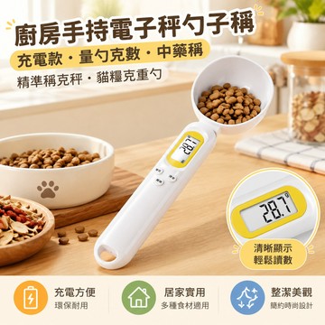 【當天🉑️出】電子量勺 寵物飼料秤 電子秤勺 飼料秤 電子量匙 湯匙秤 勺子秤 迷你電子秤 克秤 食材稱重 烘焙料理秤