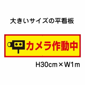 カメラ作動中看板 大きい看板 看板 高さ30cm 幅1m 穴6ヵ所 プレートbigp-op-58