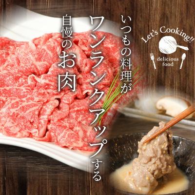 ふるさと納税 木城町 宮崎牛　和牛モモ肉　しゃぶしゃぶ　500g