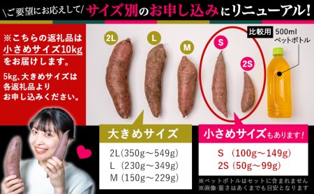 島津甘藷　熟成紅はるか 10kg(S～2S)_AA-A701-m_(都城市) 島津甘藷 紅はるか 10kg サイズ未選別 Ｓ～２Ｓ