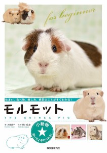 モルモット 住まい、食べ物、接し方、病気のことがすぐわかる! 大崎典子 井川俊彦