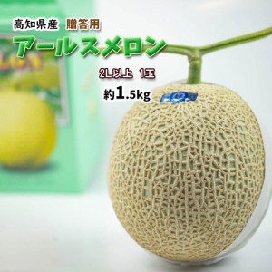 アールスメロン 贈答用 メロン 高知県産 ネット系メロン ハウスメロン 2Ｌ以上 約1.5ｋｇ 1玉 化粧箱入 贈答 送料無料