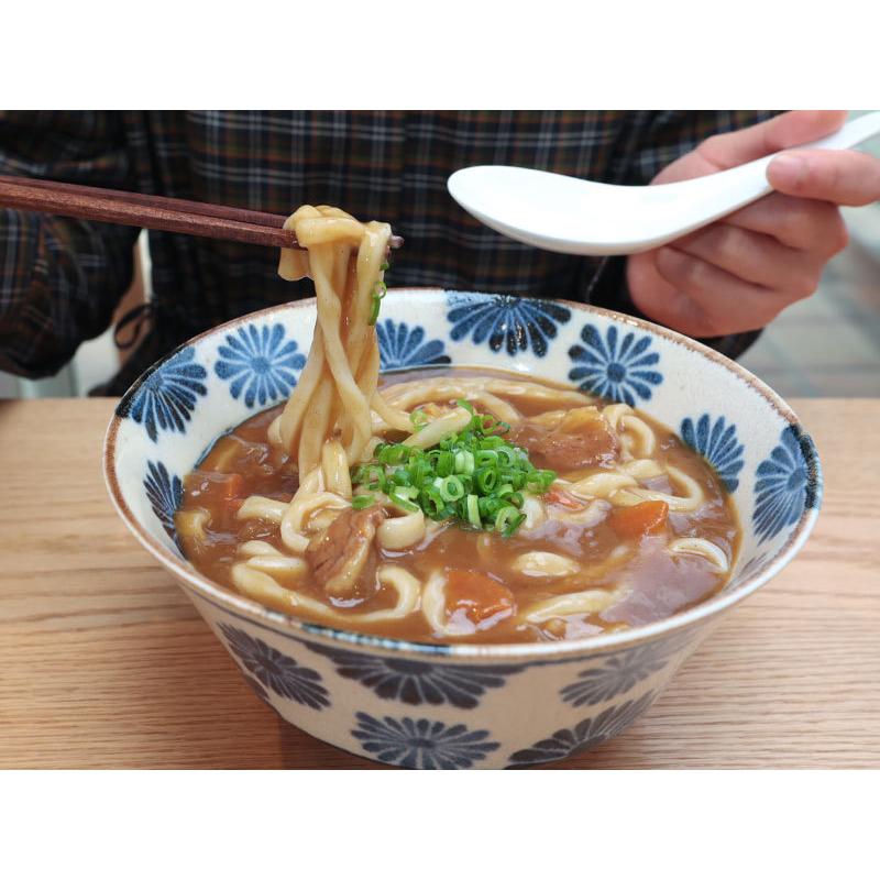 桐生の波打うどん ねじれうどん 5袋（300g×5） 送料無料 半生麺 デコボコ麺 なみうちうどん うどん 群馬 贈答品