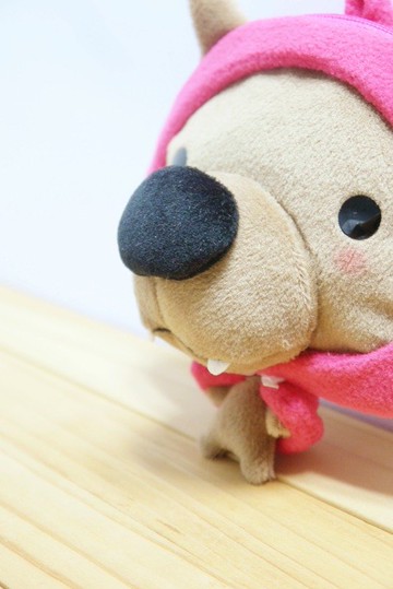 Bucute小紅狼證件套錢包/悠遊卡套/證件夾/獨家發售/手工製作/交換禮物/零錢包