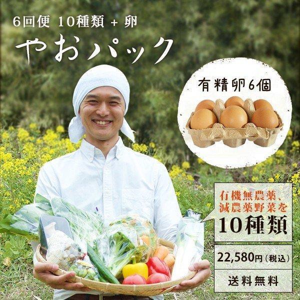 野菜セット やおパック ６回便　10種類と卵　月１回お届け　送料無料