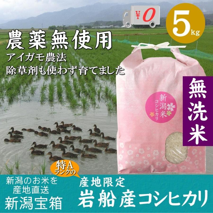 農薬無使用 米 新潟県岩船産コシヒカリ 無洗米 5kg×1袋 5kg お米 白米 特A 送料無料