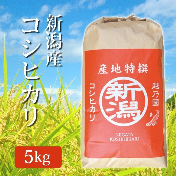 令和4年産 2022年度産 玄米 米 新潟県産コシヒカリ こしひかり 5Kg (5キロ) 新潟産 コシヒカリ 代引不可 同梱不可