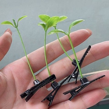 【小悅居】小草髮夾可愛頭上長草豆芽賣萌頭頂搞怪夾子髮卡髮飾超火頭飾網紅同款、熱門單品 人氣好物