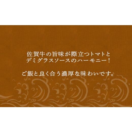 ふるさと納税 佐賀県 唐津市 佐賀牛ごはんにかけるビーフシチュー 「2023年 令和5年」