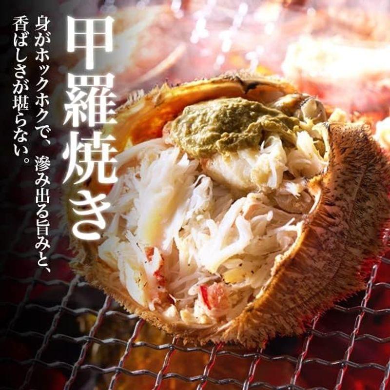 お歳暮 ギフト 毛蟹 北海道産 1kg 500g ×2尾 大サイズ 毛ガニ 毛がに ボイル カニ かに 北海道物産展 海鮮 ギフト 贈り物