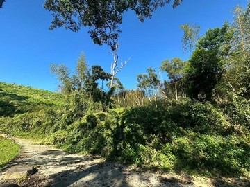 苗栗大湖農地 已整地 山坡保育地 有水土保持｜苗栗縣大湖鄉百壽段