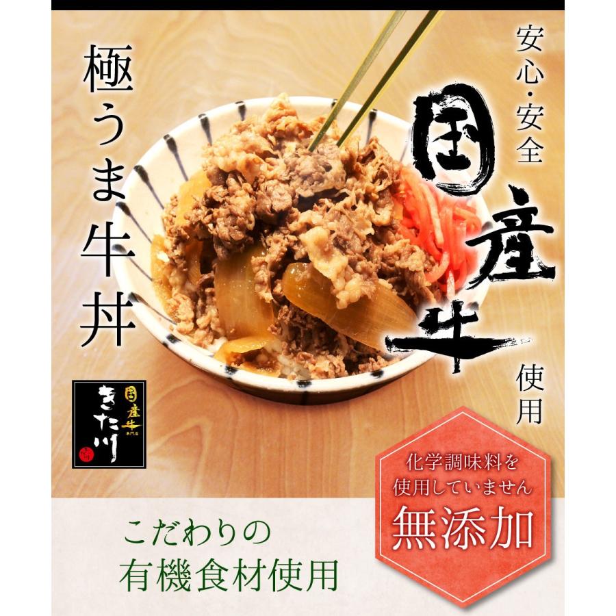 国産牛 無添加 話題の 極うま 牛丼の具 140g 6食セット