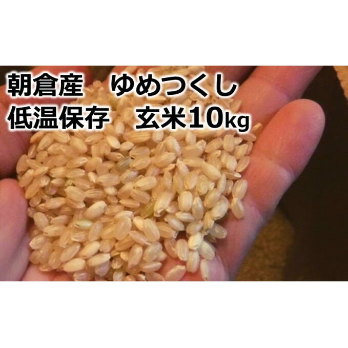 米 10kg 玄米 ゆめつくし