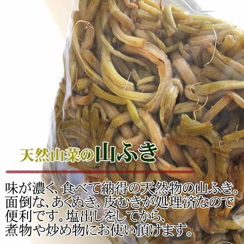 山形県飯豊町産 天然山菜 山ふき塩蔵 1kg 数量限定 送料無料 塩漬け メール便 クリックポスト