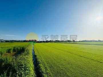 新屋區社子國小旁 超A 漂亮方正 稀有甲建+農｜桃園市新屋區番婆土文段