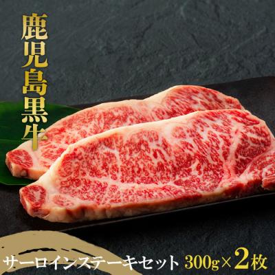 ふるさと納税 大崎町 鹿児島黒牛　サーロインステーキセット　約600g(約300g×2枚)