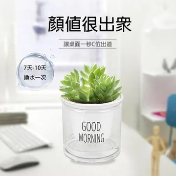【PS Mall】花盆 盆栽 透明花盆 塑膠盆 綠植圓形塑料 自吸水花盆 3入 (J3088)