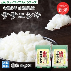 新米　お米 令和5年 山形県産 ササニシキ 精米 10kg（5kg×2袋） 産地直送  rys1005