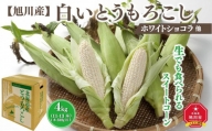 白いとうもろこし（ホワイトショコラ他）4kg＜11-13本＞(2024年8月上旬発送開始予定)