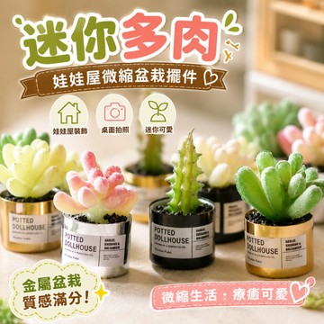 小廢物研究所 迷你多肉 GSC配件 娃娃屋植物 OB11擺件 微縮手作 金屬盆栽 Dollhouse模型 桌面拍照 小花