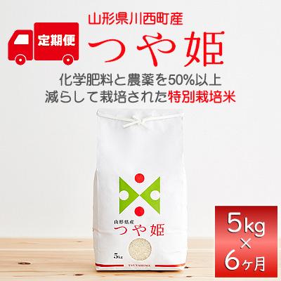 ふるさと納税 川西町 山形県産特別栽培米「つや姫」5kg(5kg×1袋)全6回