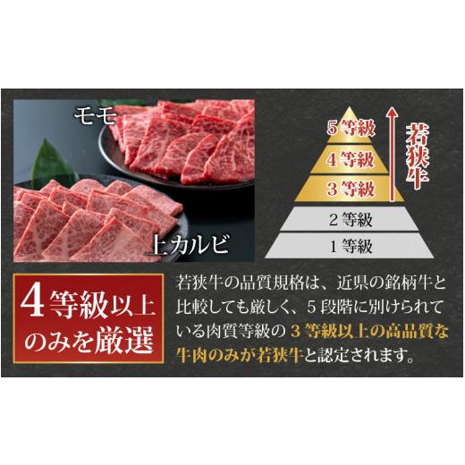 ふるさと納税 福井県 大野市 若狭牛焼肉食べ比べセット  1kg(上カルビ500g×1パック・モモ500g×1パック)