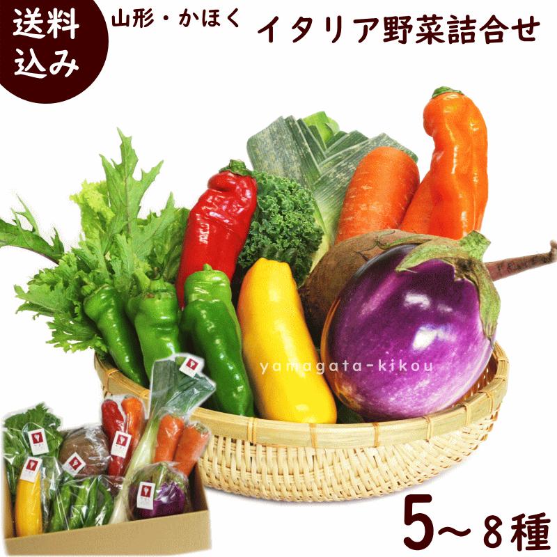 野菜 セット 山形県 河北町 かほくイタリア野菜研究会 イタリア野菜詰合せ 5〜8種類 送料込