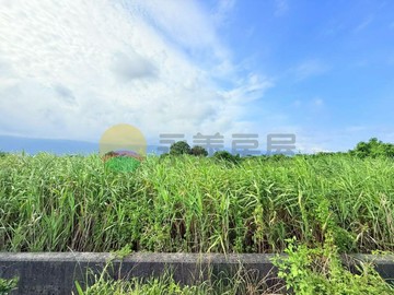 推薦礁溪大塭臨15米大馬路大面寬方正小農地｜宜蘭縣礁溪鄉常興段
