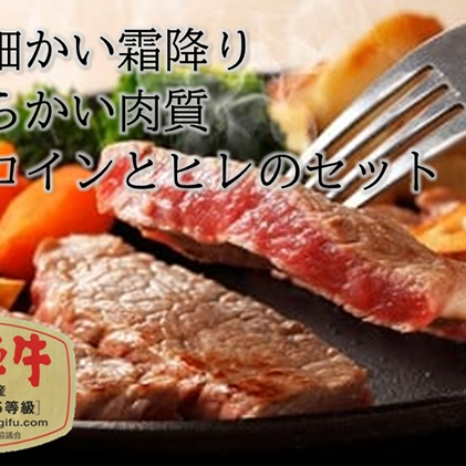 ふるさと納税　飛騨牛 牛肉 ステーキ 豪華セット ヒレ 150g×8枚 サーロイン 180g×5枚 計2.1kg 和牛