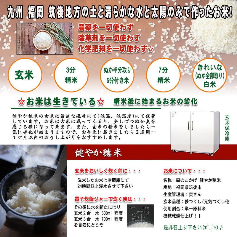 森のこかげ 健やか穂米 1kg