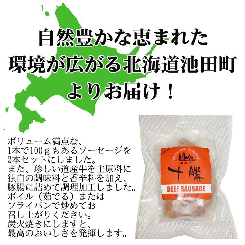 ギフト ビーフソーセージ 200g (100g×2本)×5袋 十勝池田食品 北海道 土産 人気 ギフト 贈り物