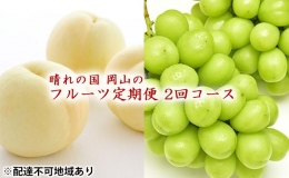 フルーツ 2024年 先行予約 晴れの国 岡山 の フルーツ 定期便 2回コース 桃 ぶどう 岡山県産 国産 フルーツ 果物 ギフト