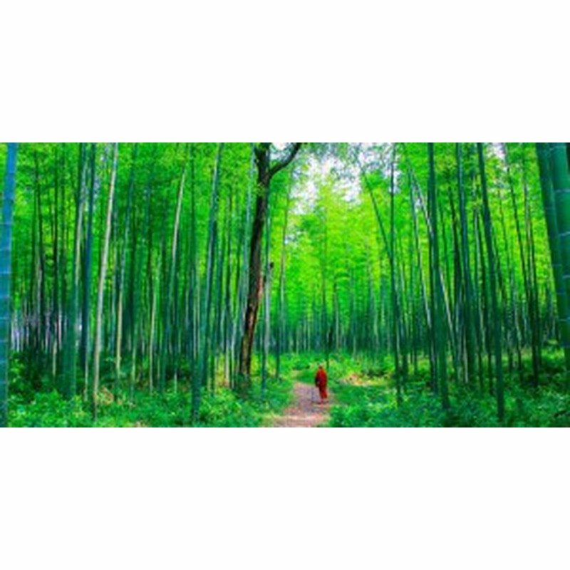 絵画風 壁紙ポスター 竹藪 仏教僧 森林 森林浴 緑 目の保養 気分転換 癒し パノラマ Snr 112s1 1152mm 576mm 通販 Lineポイント最大5 0 Get Lineショッピング