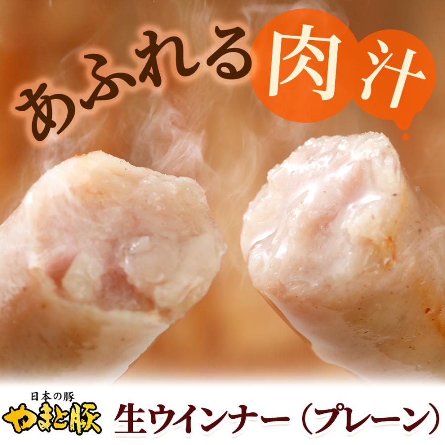 やまと豚 生ウインナー (プレーン) セット 1kg NS-CB [冷凍] お歳暮 御歳暮 2023 肉 食品 内祝い ギフト 食べ物 ウインナー ソーセージ 無添加 お肉