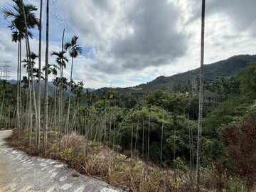 艾買艾賣 新社專任建地698｜台中市新社區二櫃段