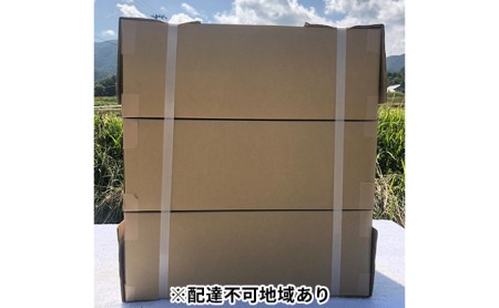 令和5年ふじもとファームの新米 玄米5kg×3箱