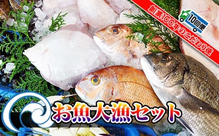 創業100年の魚屋さんが選び抜いた旨い鮮魚直送便～