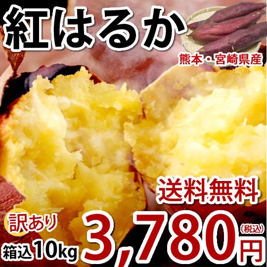 さつまいも 紅はるか 訳あり 10kg 箱込（内容量9kg＋補償分500g) 送料無料 無選別 べにはるか 熊本県産 サツマイモ 紅蜜芋 芋 いも
