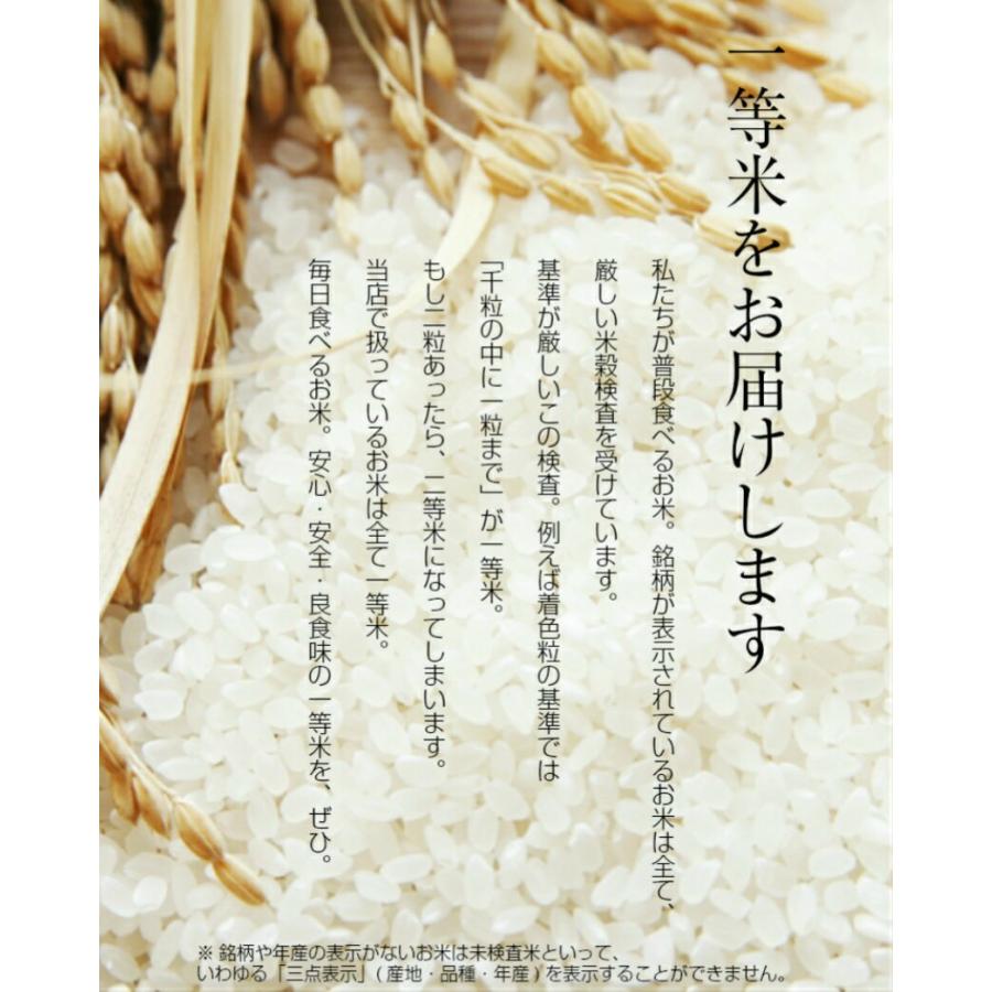 令和5年産 新米 千葉県産コシヒカリ 玄米30kg (10kg×3袋) 精米無料(精米は9kg×3袋)