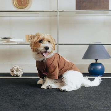 【現貨】犬貓飛出寵物衣(美式咖)
