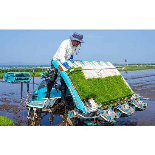 ふるさと納税 熊本県 菊池市 つるたファームから旬のお届け便 Green(自然栽培米 5kg・肥後グリーンメロン 2玉)