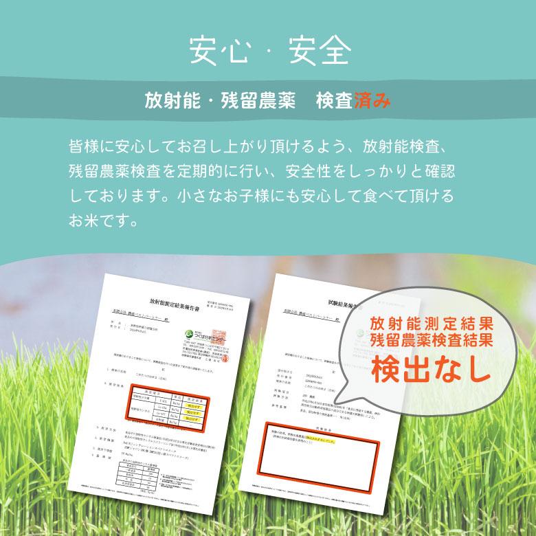 新米使用 米 お米 10kg 送料無 肥後姫 熊本県産 令和5年産米使用 白米10kg 訳あり米 ブレンド米 オリジナルブレンド米 5kg×2袋