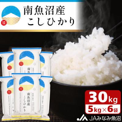 ふるさと納税 南魚沼市 「南魚沼産こしひかり」精米 30kg(5kg×6袋)