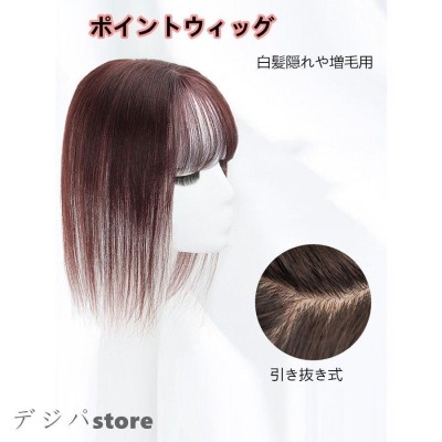 schott ウィッグ ヘアピース 部分ウィッグ かつら ポイントウィッグ ...