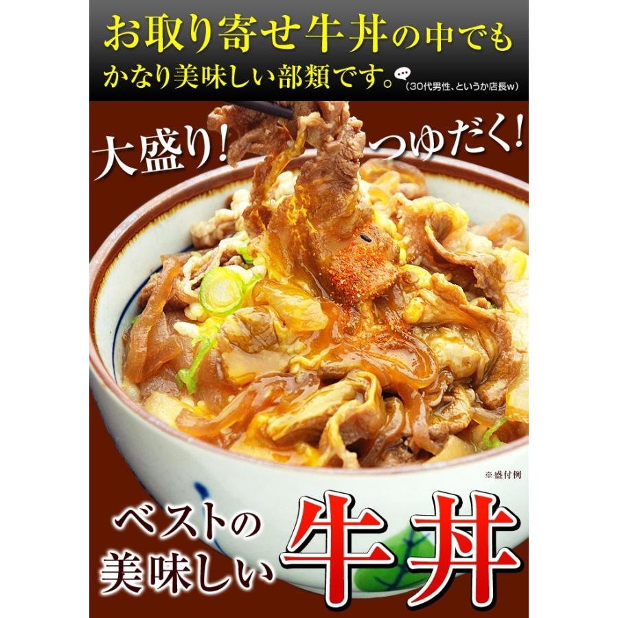 牛丼の具 冷凍 牛丼の素 日東ベストの牛丼DX 業務用 冷凍食品 185g入を40パック