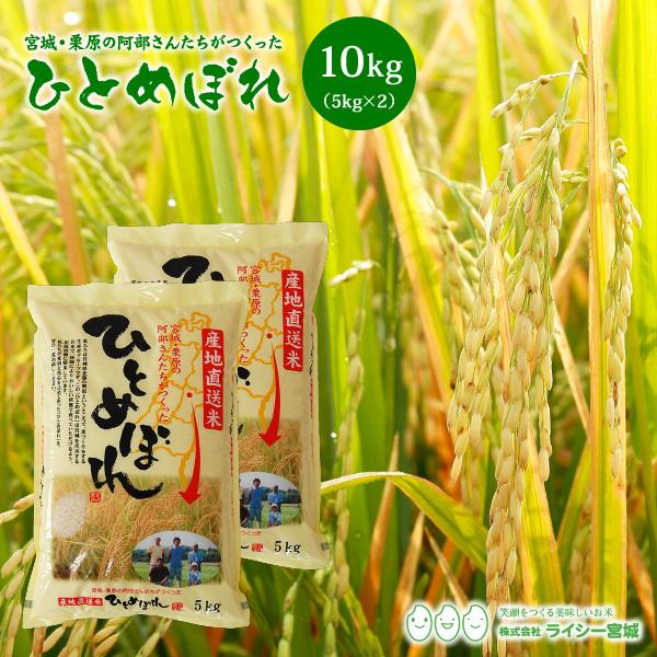 新米 ひとめぼれ 米 10kg 令和5年産 5kgx2袋 お米 宮城県産 白米 送料無料 精白米 産地直送