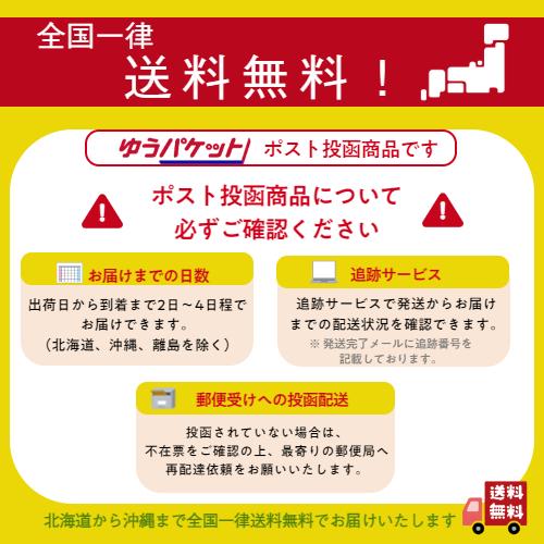 ミックス レーズン 1kg(500g×2袋) メール便 送料無料 ドライフルーツ 4種 砂糖不使用 干しブドウ 葡萄※注文〜4日前後(土日祝除く)での発送を予定