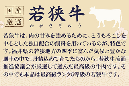 若狭牛 福井白山ポークしゃぶしゃぶセット（若狭牛上モモ（A5ランク） 福井白山ポーク豚ロース）　各500ｇ