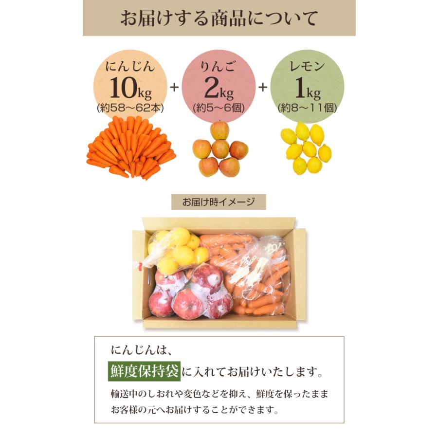 人参 無農薬にんじん 野菜セット 無農薬野菜 にんじんジュース ジュース用 10kg＋りんご2kg＋レモン1kg ゲルソン療法にも最適 訳あり