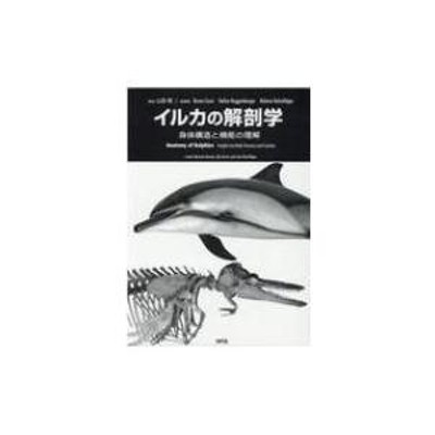 イルカの解剖学 身体構造と機能の理解 BrunoCozzi StefanHuggenberger HelmutOelschlager |  LINEブランドカタログ